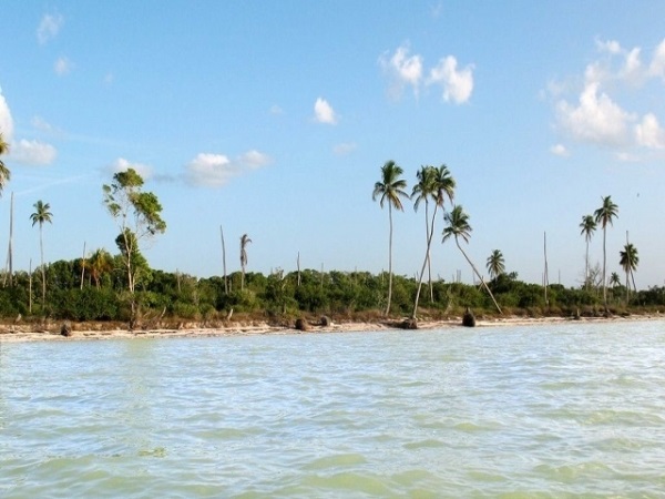 Celestún: el destino de playa más occidental de Yucatán