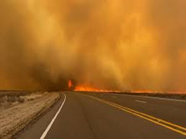 Incendio forestal amenaza Texas; es uno de los más grandes de su historia