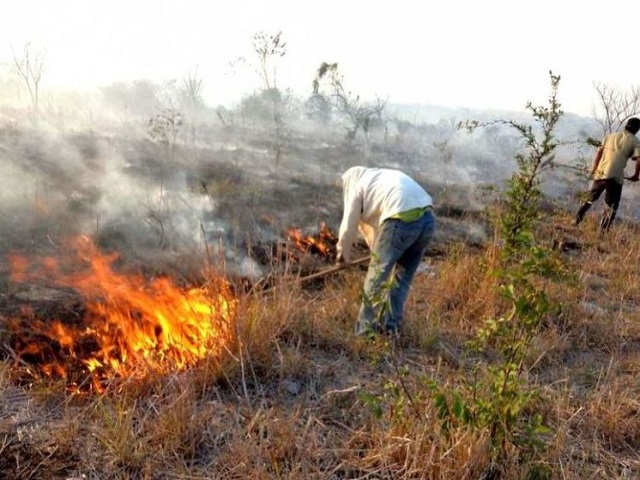 Protección Civil-Yucatán recordó que están prohibidas las quemas ante el incremento de la temperatura