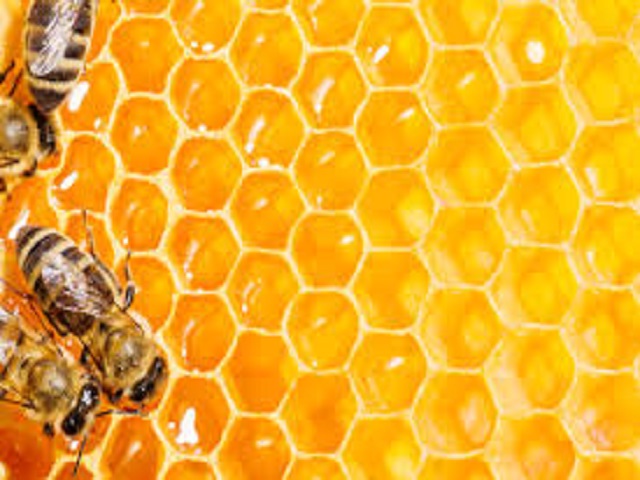 La Federación Gastronómica de Yucatán abrirá canales de exportación de miel a Portugal.