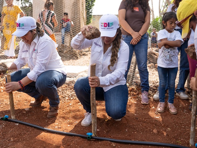 Fortalece DIF Yucatán la seguridad alimentaria con huertos comunitarios