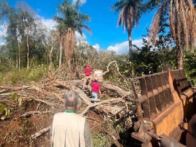 Profepa confirma detención por daño ambiental en Sisal; reforestarán zona afectada