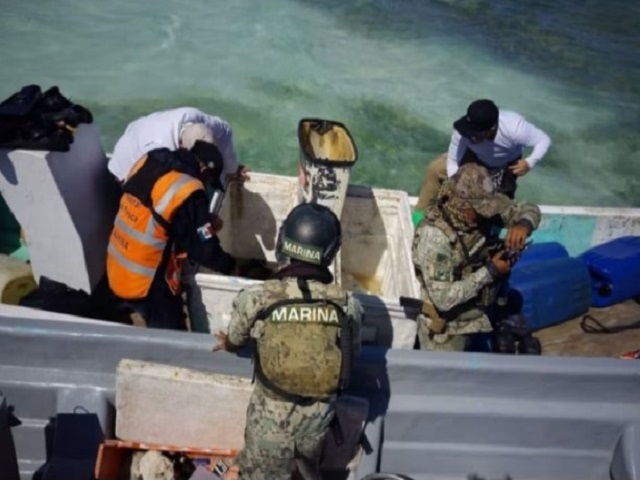 Sorprenden a pescadores con caracol rosado en veda en Arrecife Alacranes