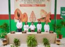 Yucatán logra histórico: mamey local llega por primera vez al Reino Unido