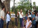 Avanzan los trabajos del primer Corredor Verde de Mérida con infraestructura sustentable y sostenible.