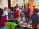 Refuerzan en Yucatán acciones para el control de perros y gatos