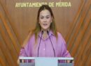 Clausuran obra en Cholul por tala ilegal; multas podrían alcanzar los 2.9 millones