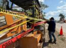 Detienen tala ilegal de árboles en Cholul en colaboración con el Ayuntamiento de Mérida