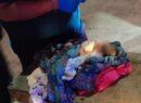 Recién nacido es hallado por recolectora en contenedor de basura de Cancún