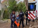 Le salió más cara la ciruela: termina en el O’Horán tras caer del árbol