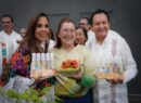 Yucatán, Campeche y Quintana Roo crean Consejo Regulador del Chile Habanero