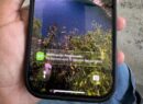 Aplicación Va-Y-Ven estrena nueva función de Notificaciones de Paradas