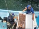 Caen tres presuntos pescadores furtivos con 250 kilos de pepino de mar frente a Dzilam de Bravo