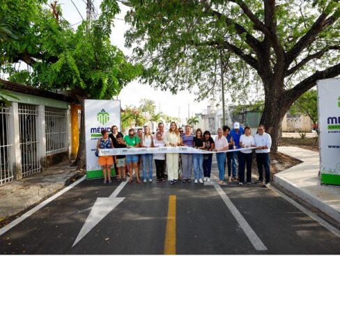 Todas las comisarías de Mérida tendrán luces LED en espacios públicos: Cecilia Patrón