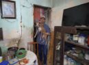 UPA rescata 48 perros en situación crítica en el centro de Mérida.