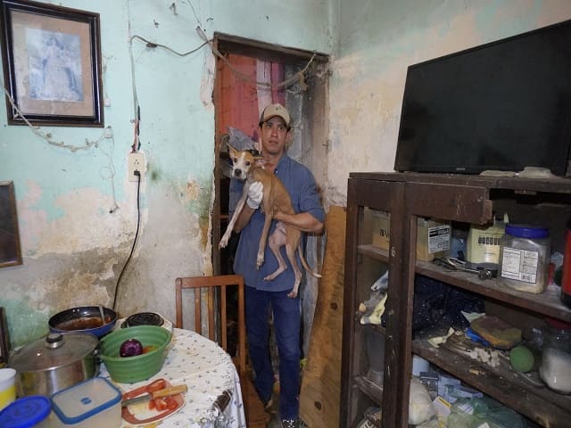 UPA rescata 48 perros en situación crítica en el centro de Mérida.