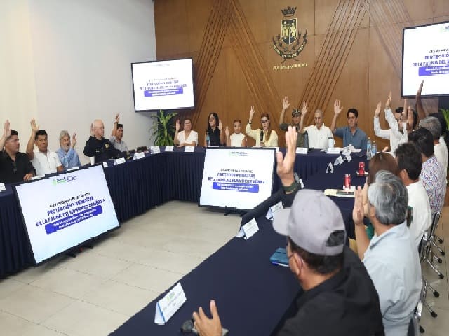 Cecilia Patrón fortalecerá la protección animal en Mérida con un nuevo Reglamento para el Bienestar de la Fauna