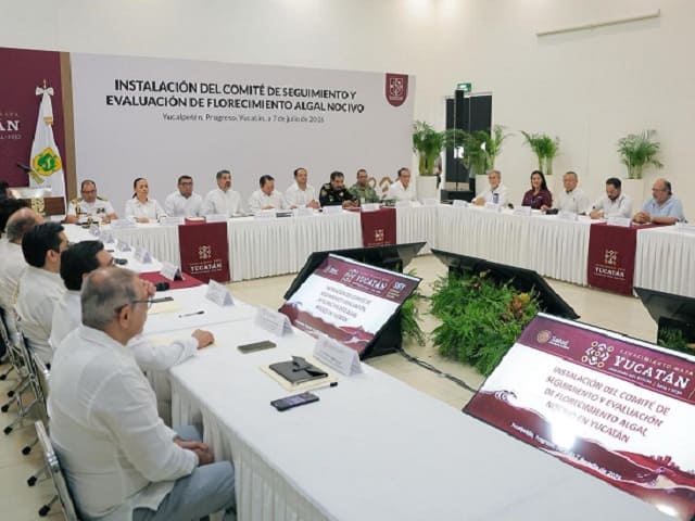 Yucatán fortalece vigilancia contra la marea roja para proteger salud, pesca y turismo