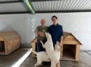 UMABA trabaja en una ruta para que perros de la Bojórquez puedan regresar con su propietario