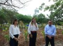 Contra los encharcamientos: Ciudad Caucel estrena primer jardín de lluvia