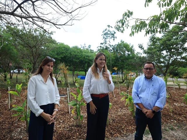 Contra los encharcamientos: Ciudad Caucel estrena primer jardín de lluvia