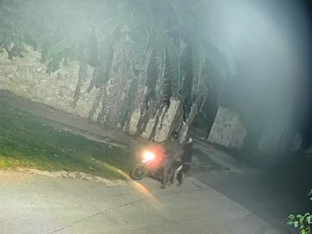Abandonar mascotas, una práctica que se repite: dejan cachorros en cementerio de Tecoh