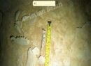 Misterio a 50 metros de profundidad: hallan restos de un posible felino en una cueva de Abalá