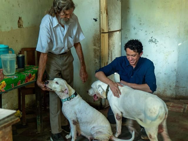 Acuerdan devolución de Oso y Blanqui a su hogar tras valoración de bienestar animal.