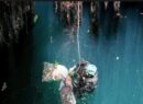 Porcicultores de Yucatán rechazan acusaciones de Greenpeace sobre contaminación del agua