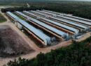 Gobierno de Yucatán responde a denuncias por contaminación del agua