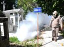 ¡Guerra contra los mosquitos en los cementerios de Yucatán! fumigación por Día de difuntos
