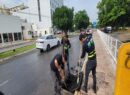 Calle por calle 24/7 cuidamos a las y los meridanos y su patrimonio; Cecilia Patrón
